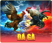S666 38 da ga